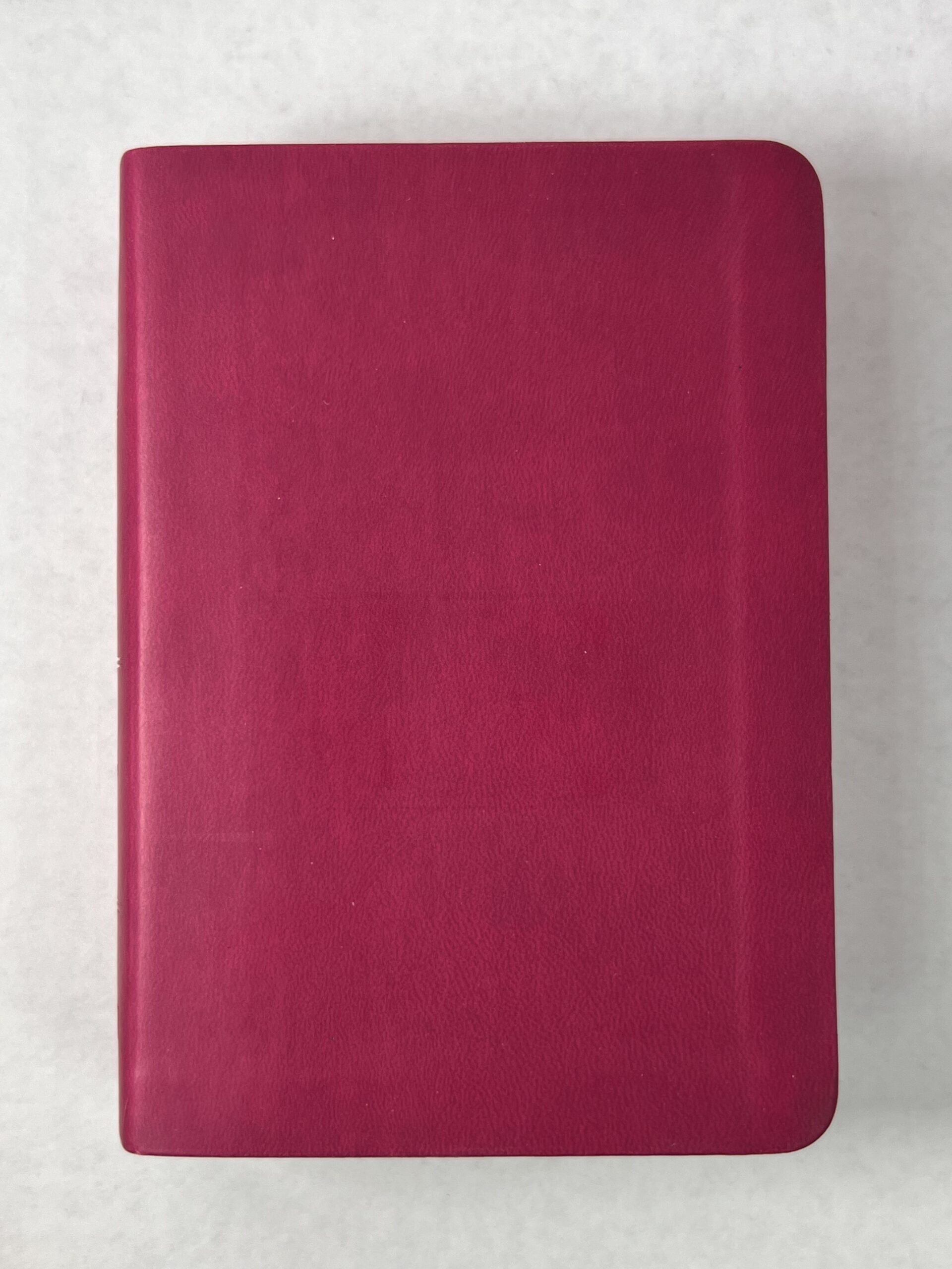 KJV Large Print Compact Reference Bible Berry Color