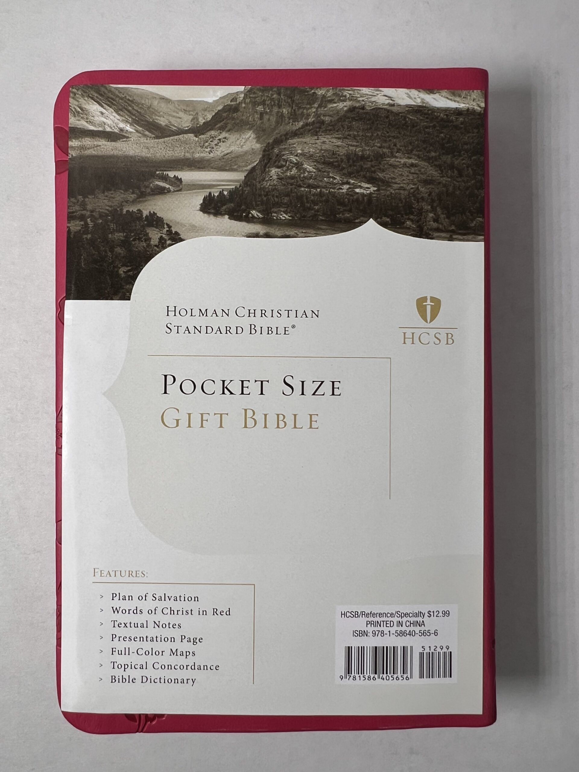 HCSB Pocket Size Gift Bible Pink Filigree - Image 2