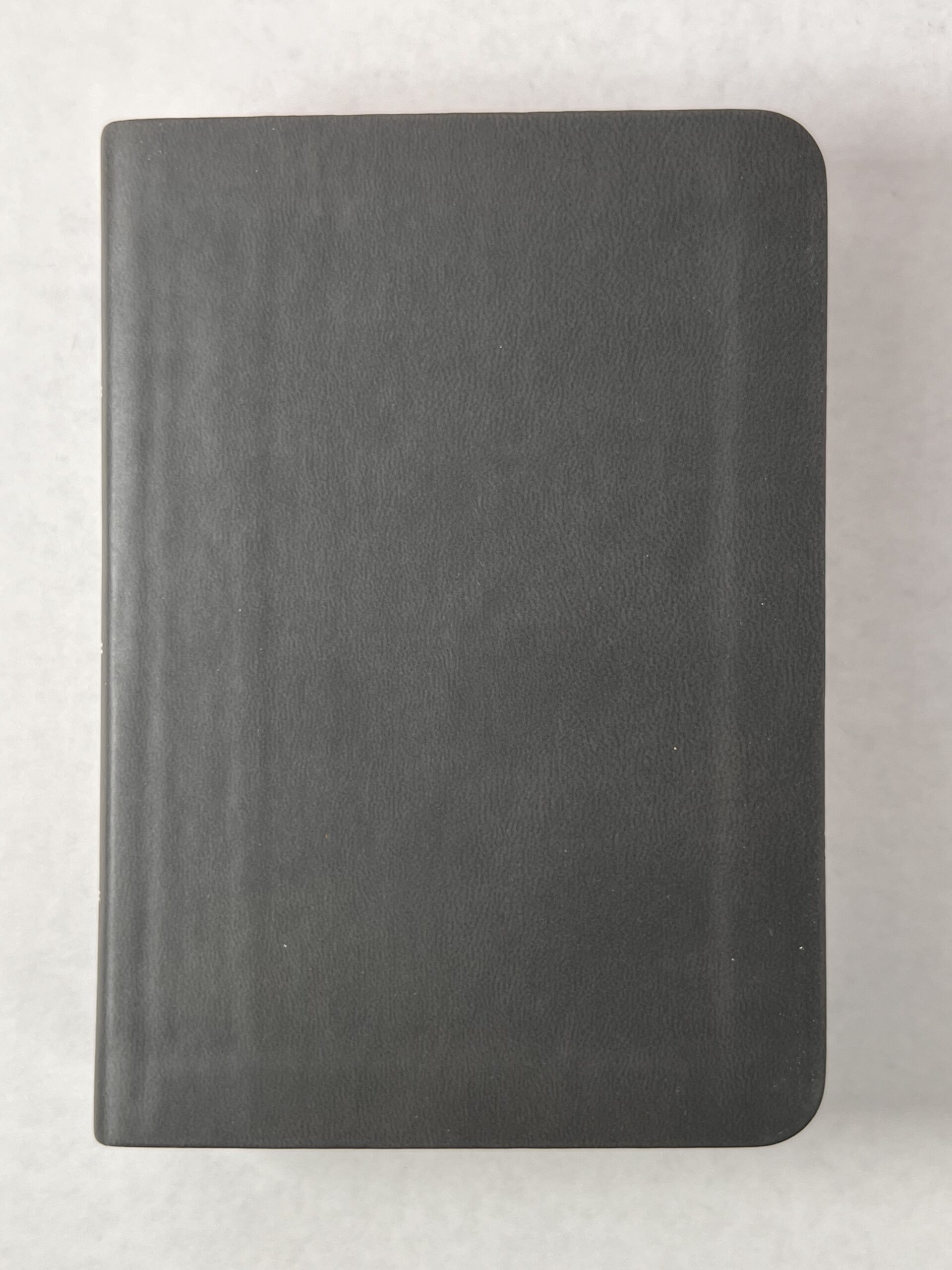 KJV Large Print Compact Reference Bible Grey Color